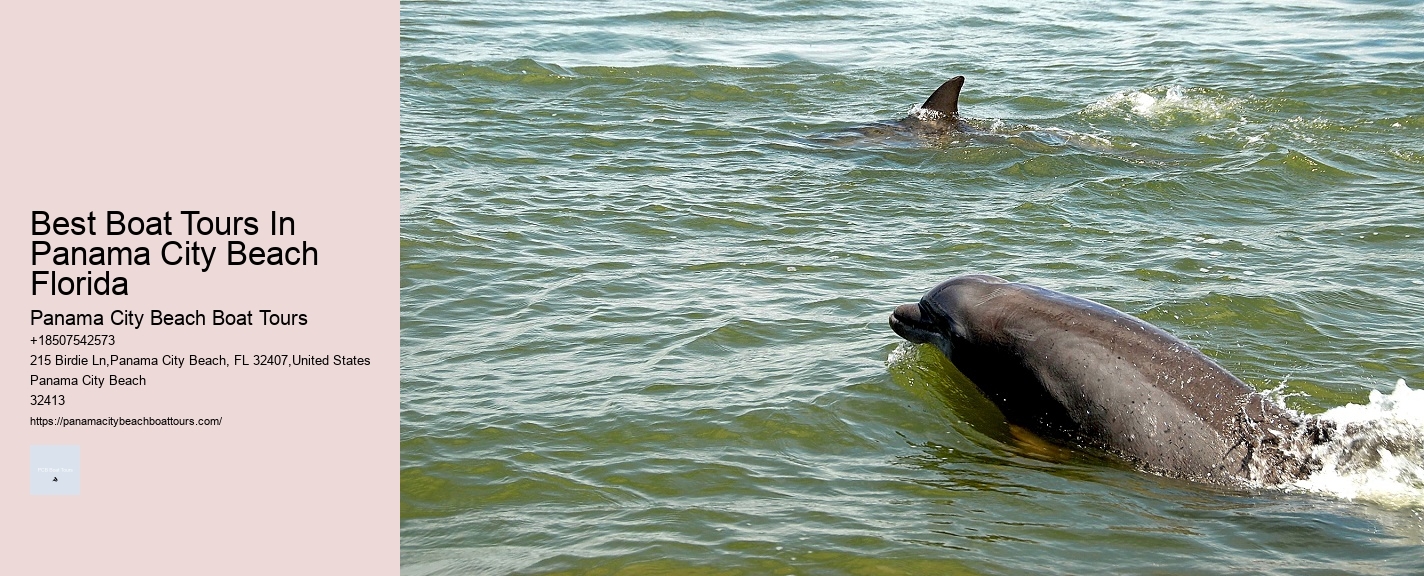 Best Boat Tours In Panama City Beach Florida