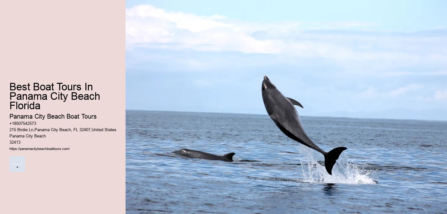 Family-friendly Boat Tours