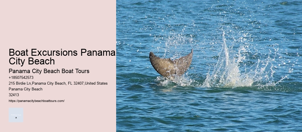 Panama City Beach Boat Tour