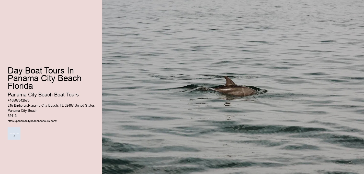 Day Boat Tours In Panama City Beach Florida