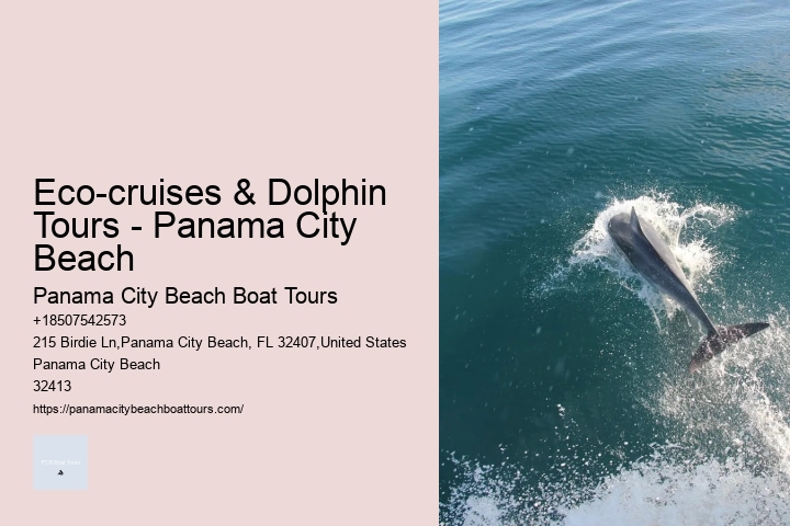 Dolphin Watching