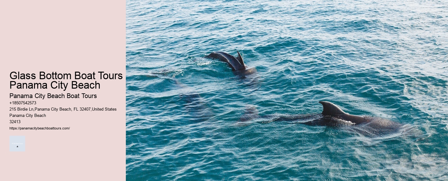 Glass Bottom Boat Tours Panama City Beach
