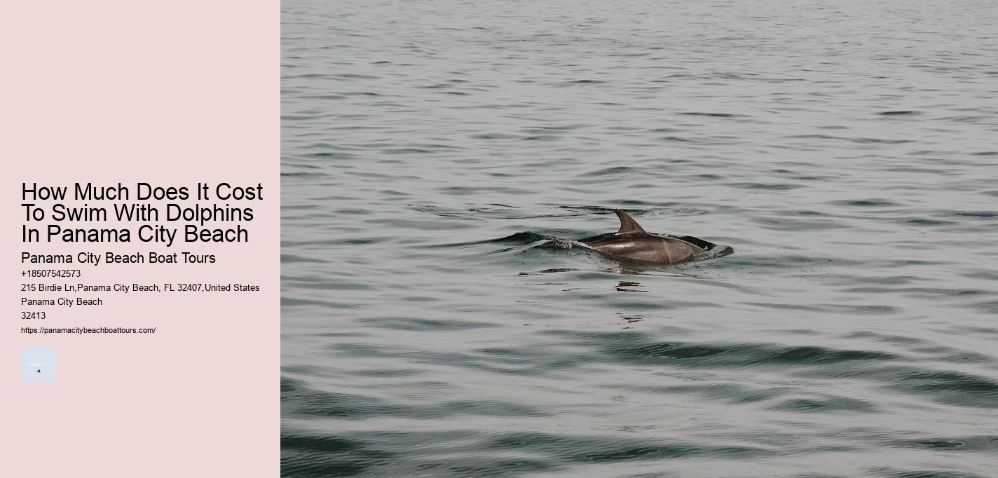How Much Does It Cost To Swim With Dolphins In Panama City Beach