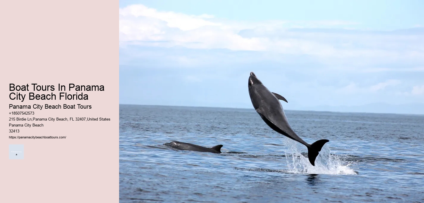 Boat Tours In Panama City Beach Florida