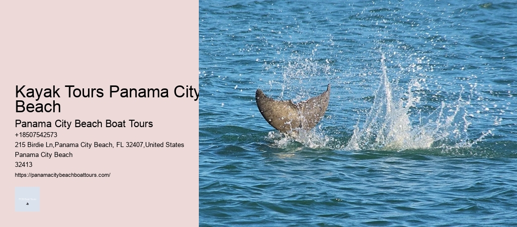 Kayak Tours Panama City Beach