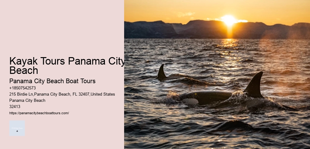 Island Exploration Tours