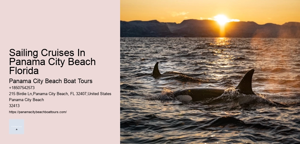 Dolphin Tour