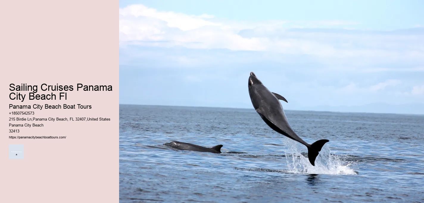 Guided Dolphin Boat Rides