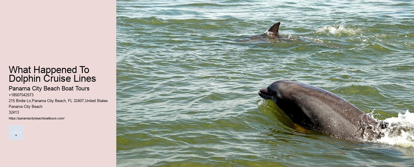 What Happened To Dolphin Cruise Lines
