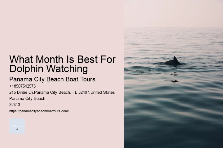 Swim With Dolphins